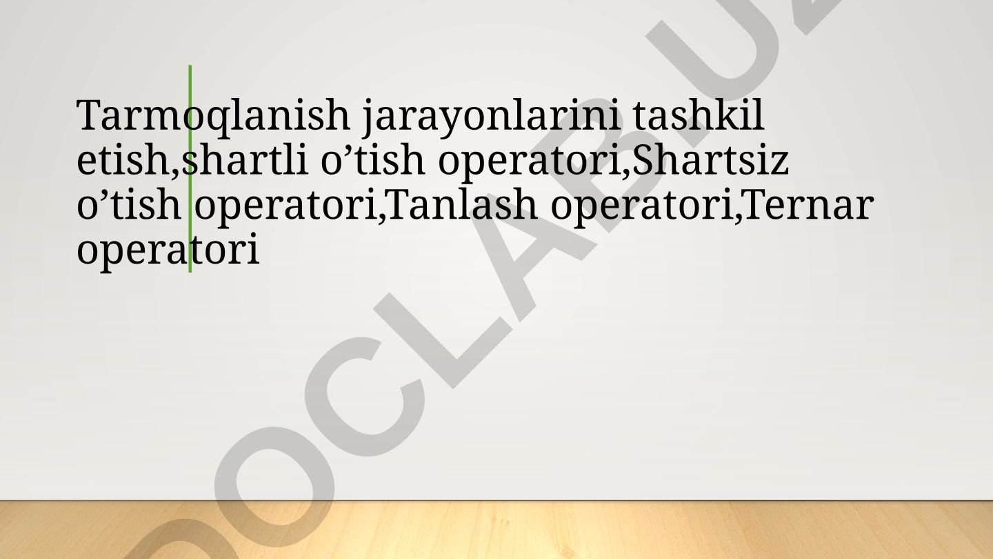 Tarmoqlanish jarayonlari va shart operatorlari
