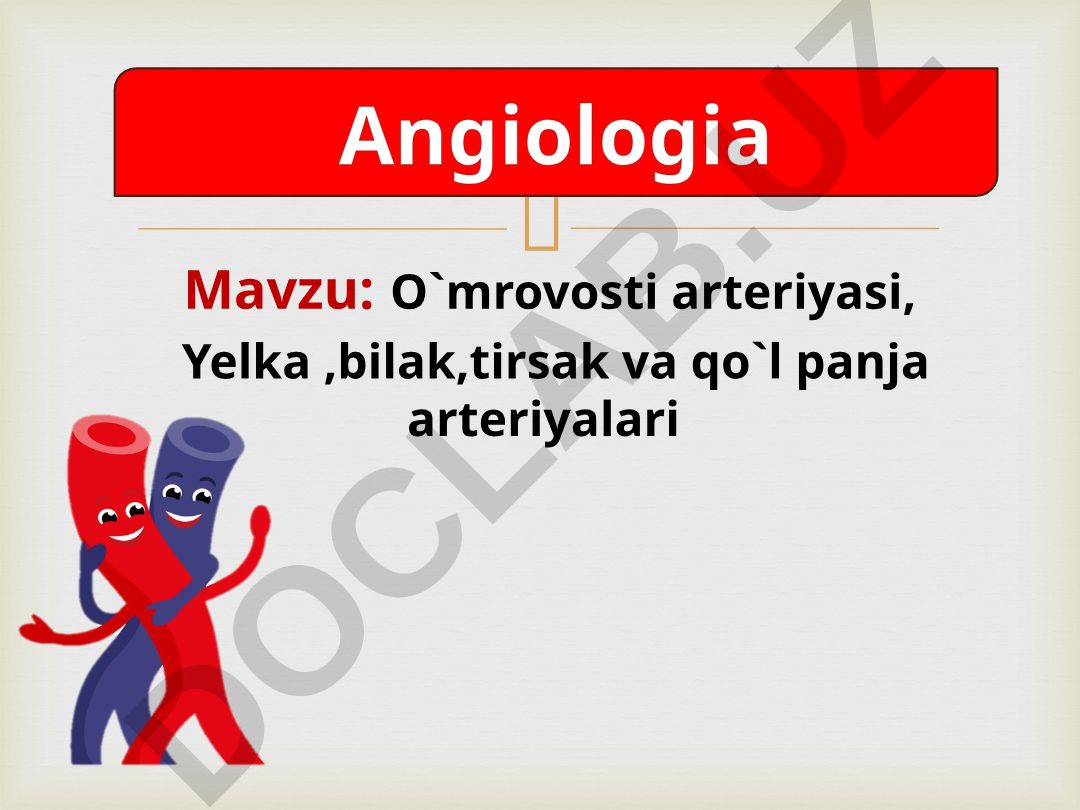 O'mrovosti arteriyasi, Yelka, bilak, tirsak va qo'l panja arteriyalari