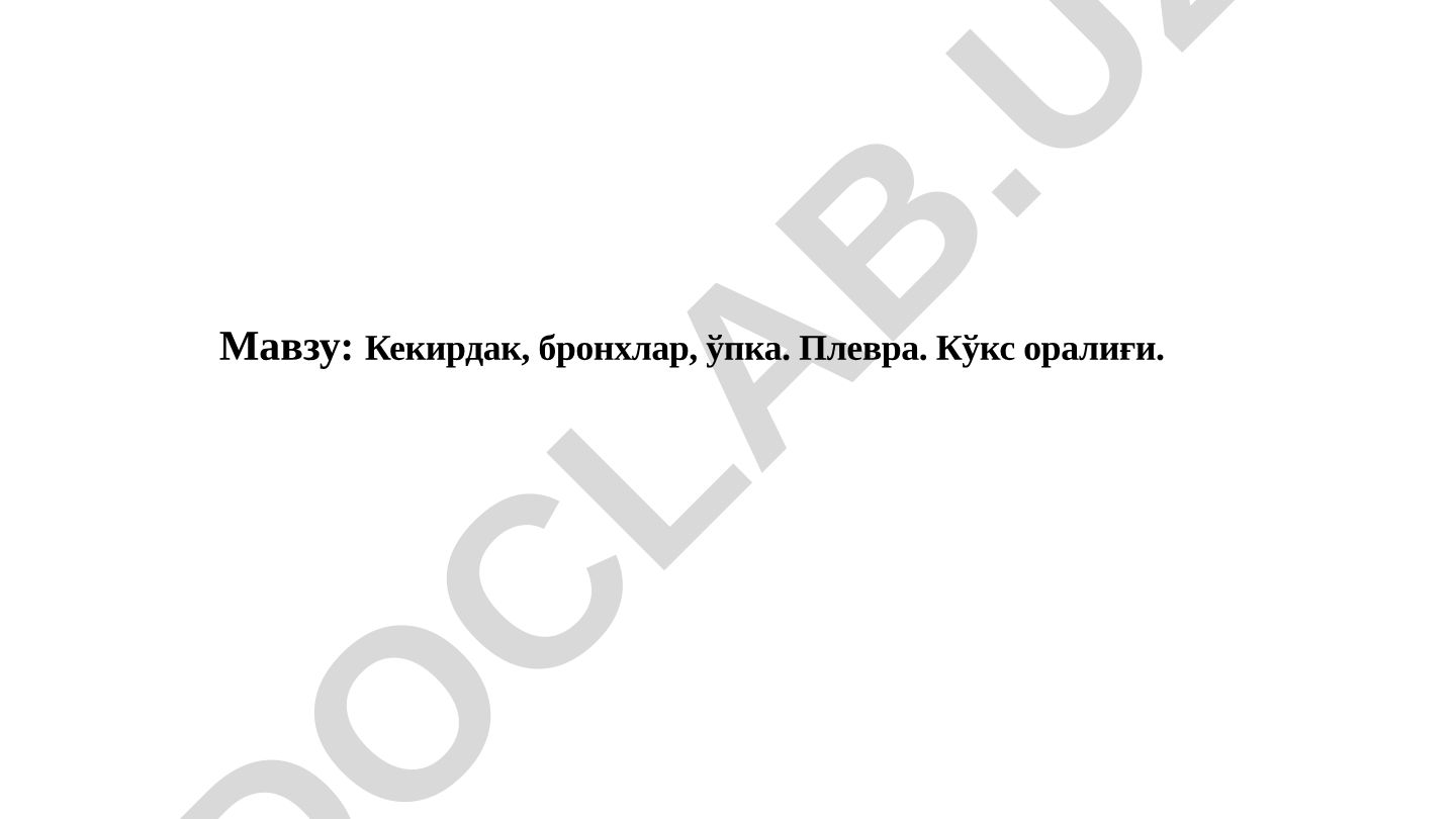 Кекирдак, бронхлар, ўпка. Плевра. Кўкс оралиғи