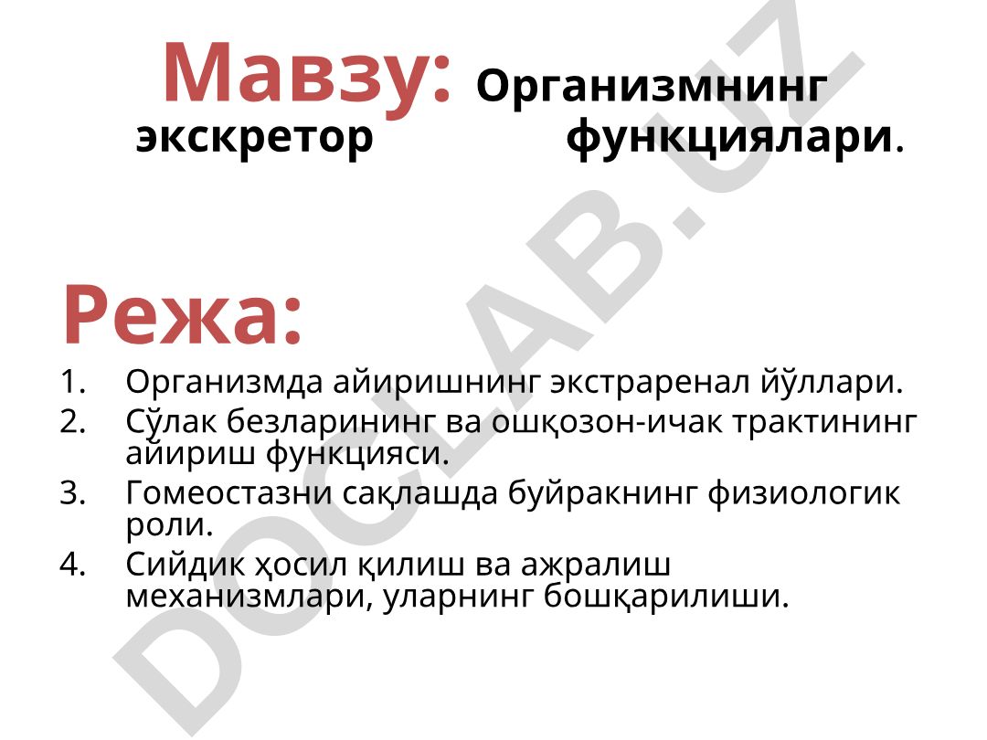Организмнинг экскретор функциялари