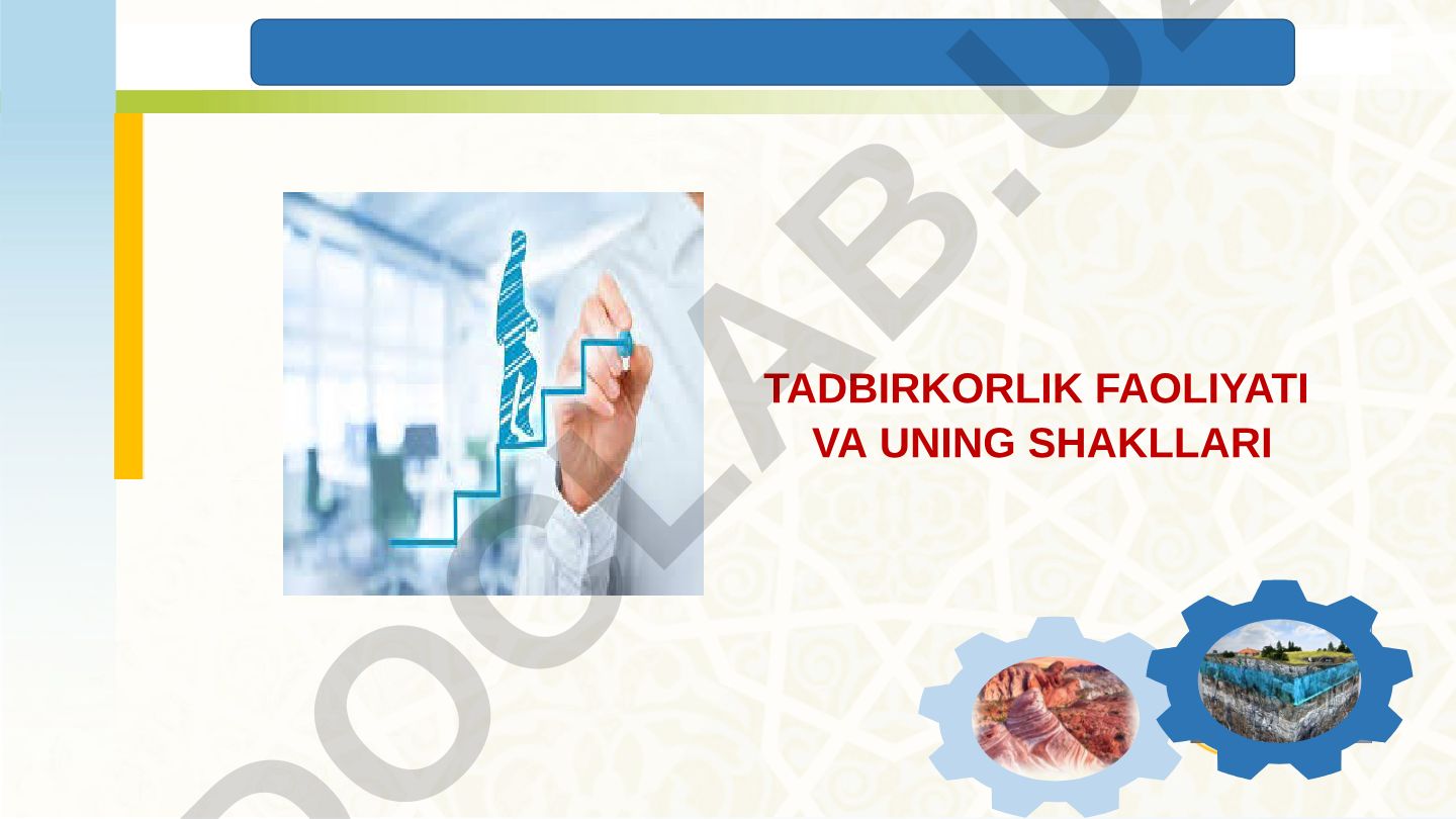 Tadbirkorlik faoliyati va uning shakllari