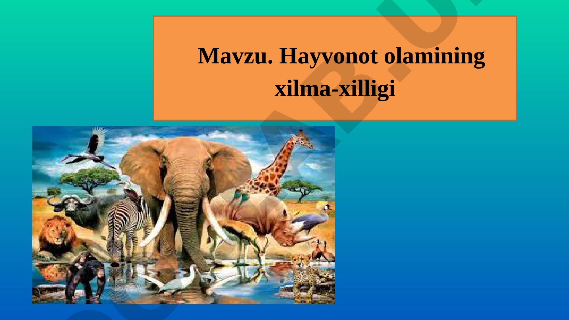 Hayvonot olamining xilma-xilligi