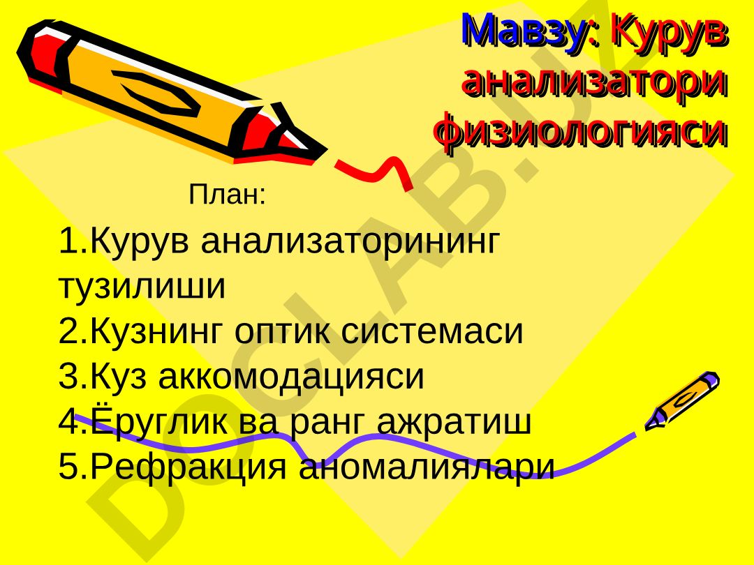 Курув анализатори физиологияси