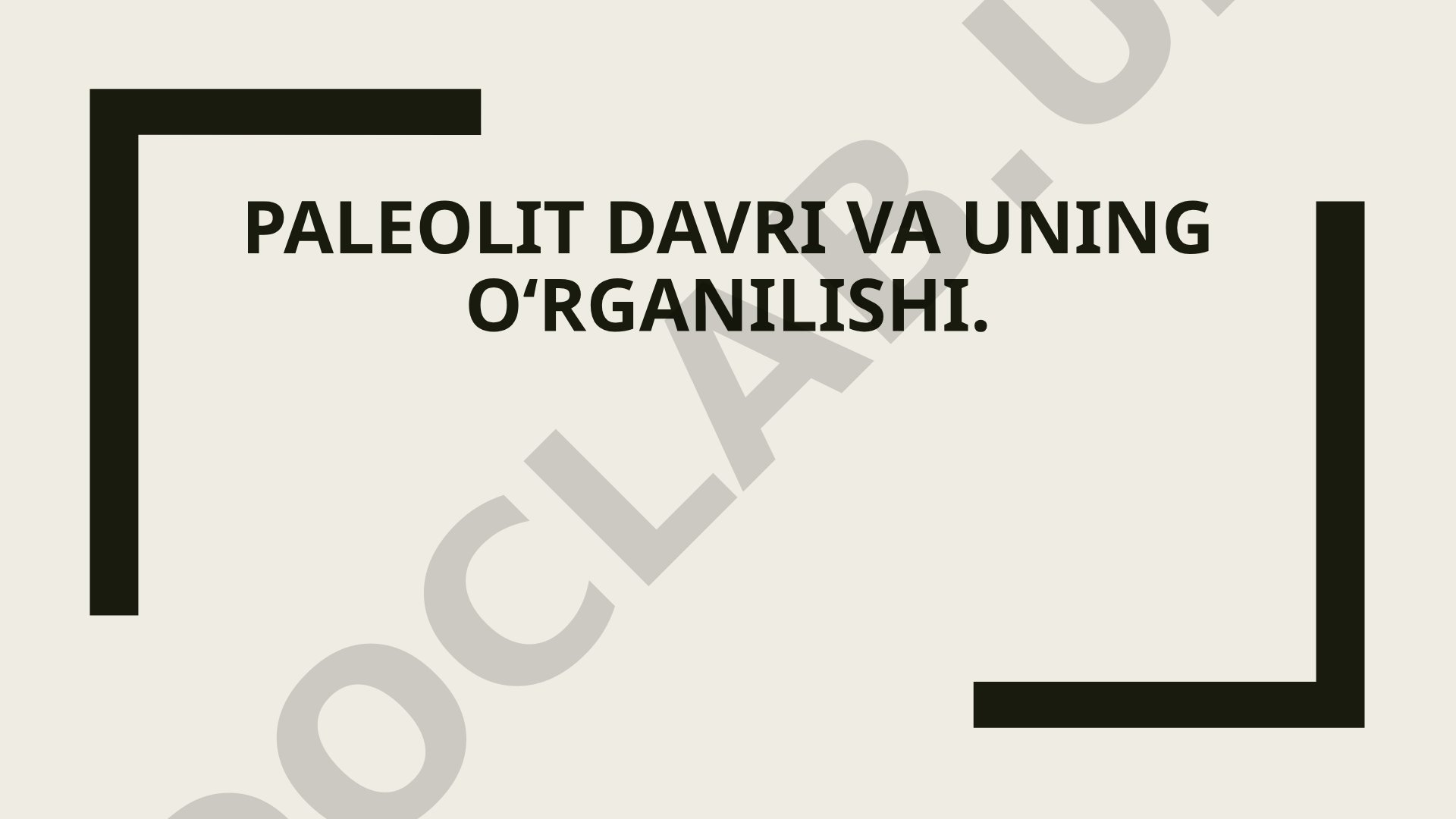 Paleolit davri taqdimoti