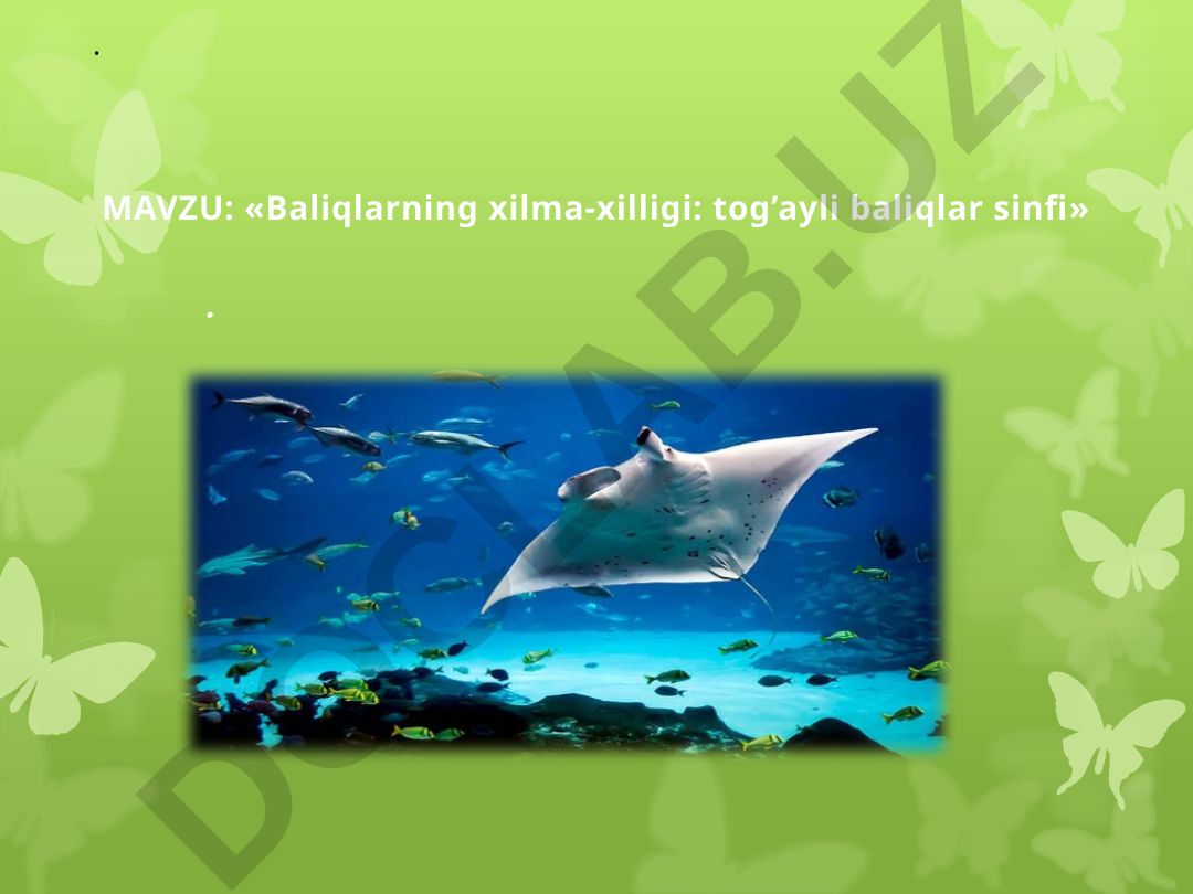 Baliqlarning xilma-xilligi: tog’ayli baliqlar sinfi
