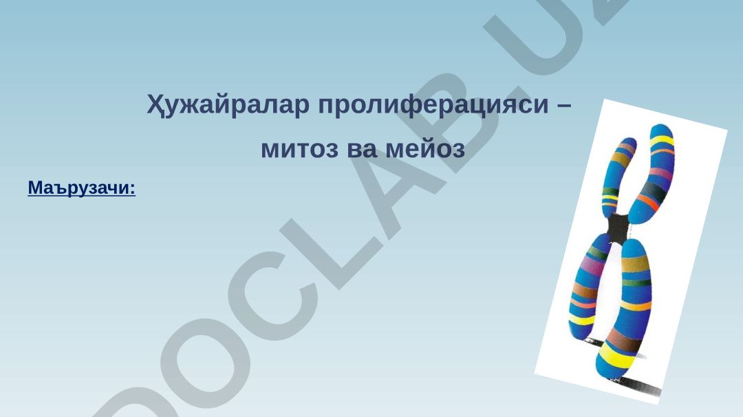 Ҳужайралар пролиферацияси – митоз ва мейоз