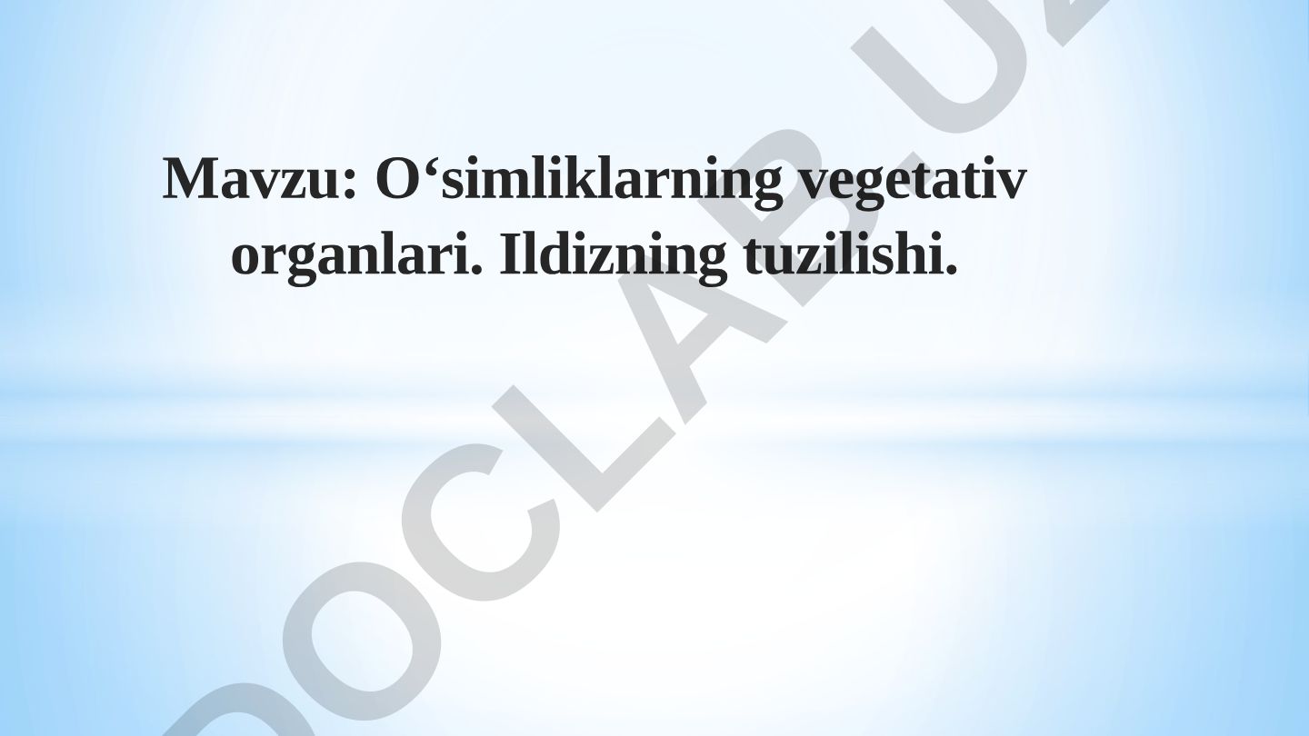 O‘simliklarning vegetativ organlari. Ildizning tuzilishi
