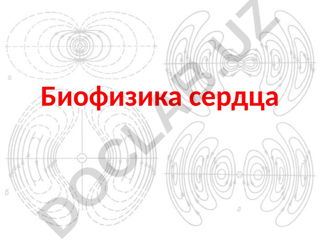 Биофизика сердца: работа и мощность миокарда