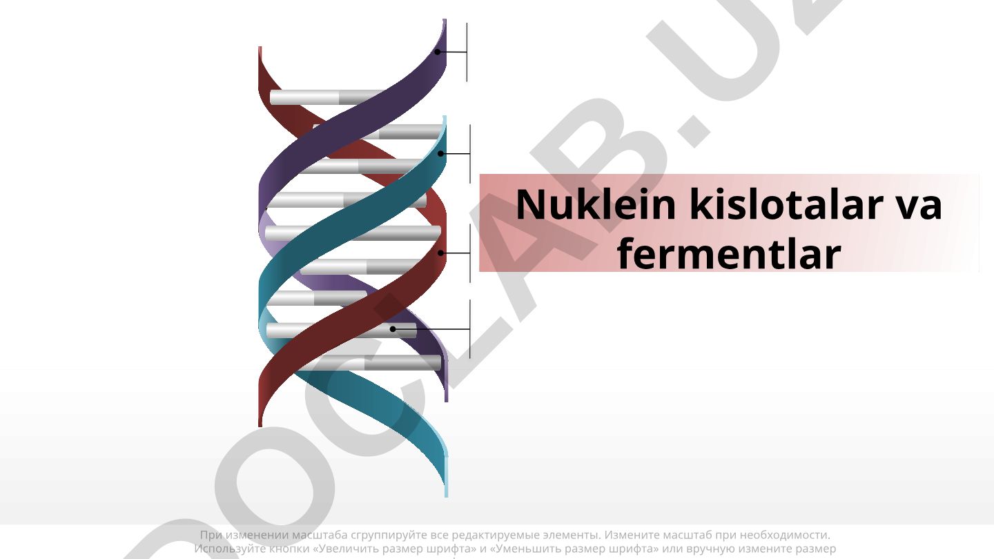 Nuklein kislotalar va fermentlar