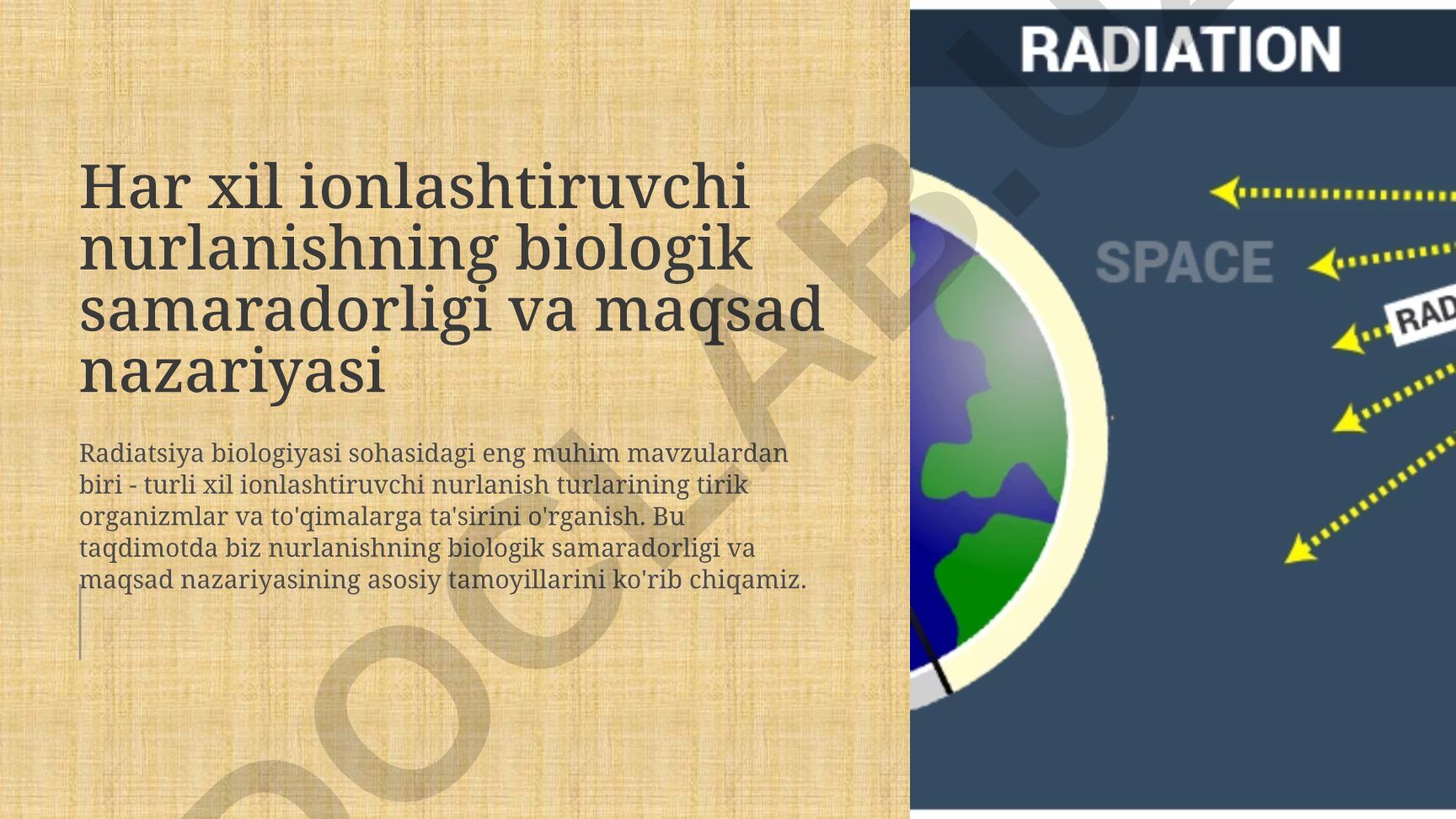 Har xil ionlashtiruvchi nurlanishning biologik samaradorligi va maqsad nazariyasi