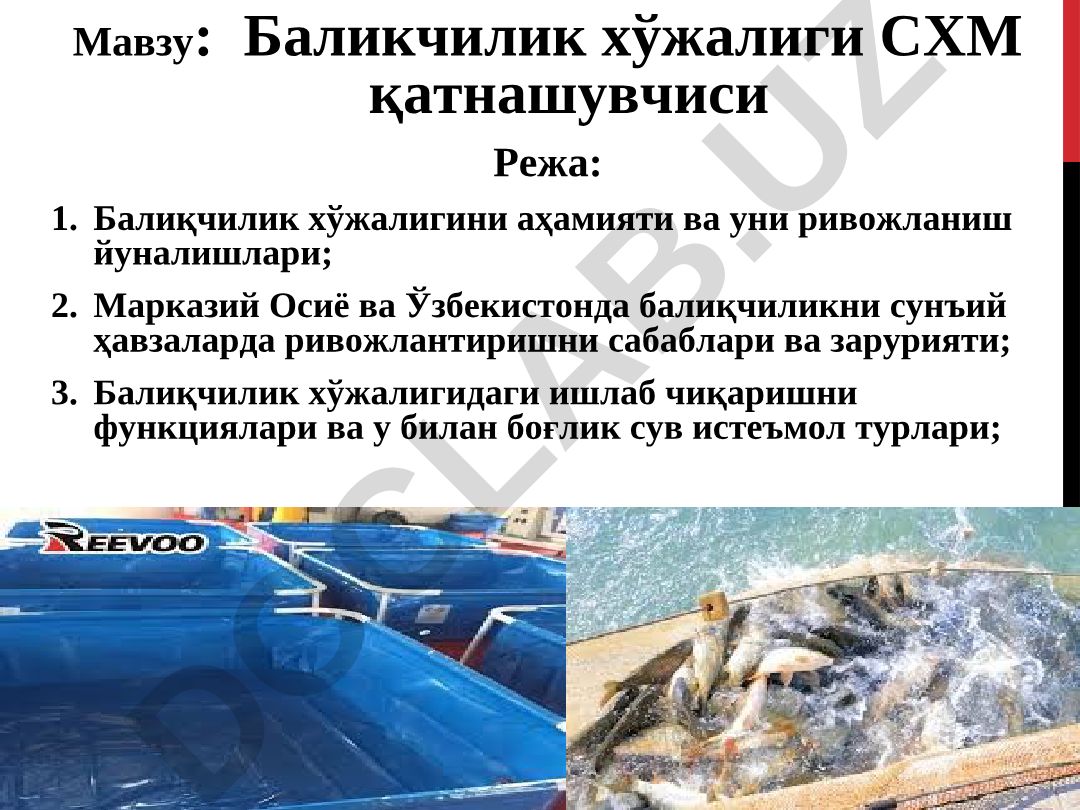 Баликчилик хўжалиги СХМ қатнашувчиси