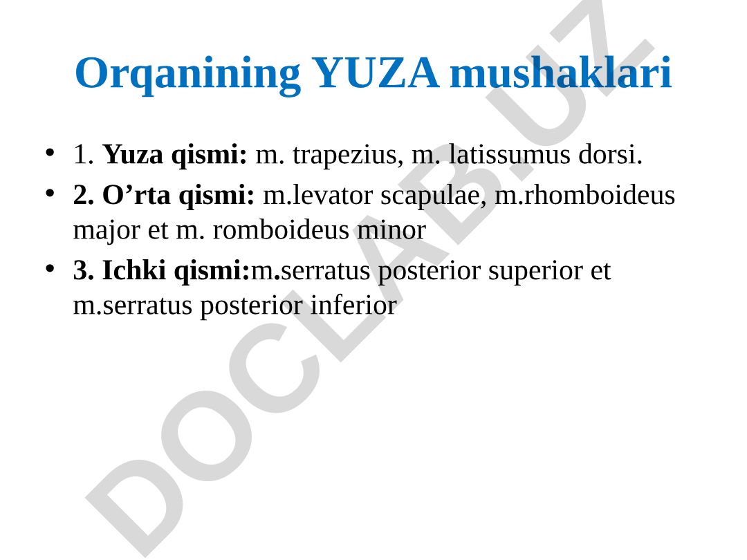 Orqa mushaklarining yuza qismlari va trapetsiyasimon mushak tuzilishi