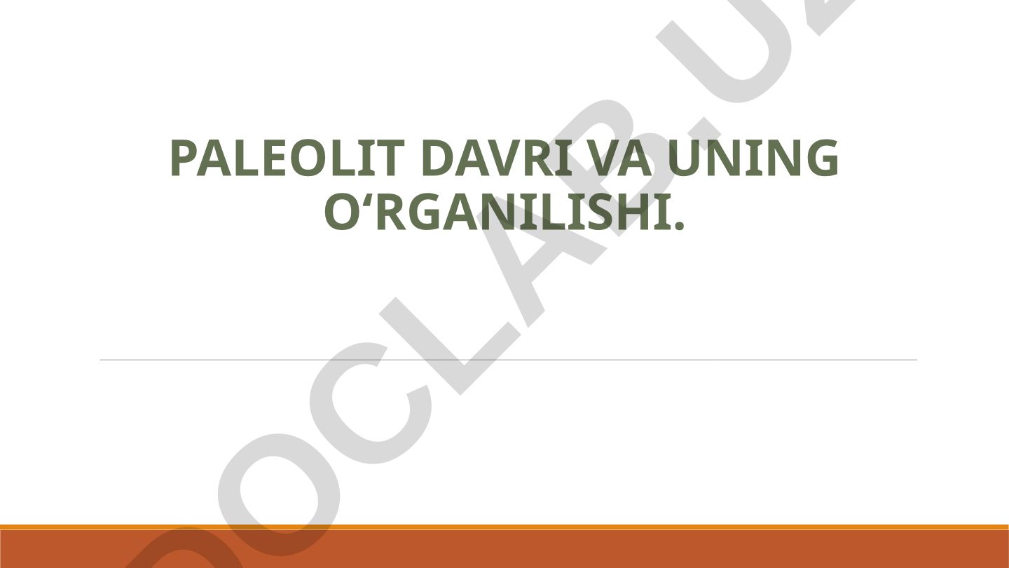Paleolit davri va uning o‘rganilishi