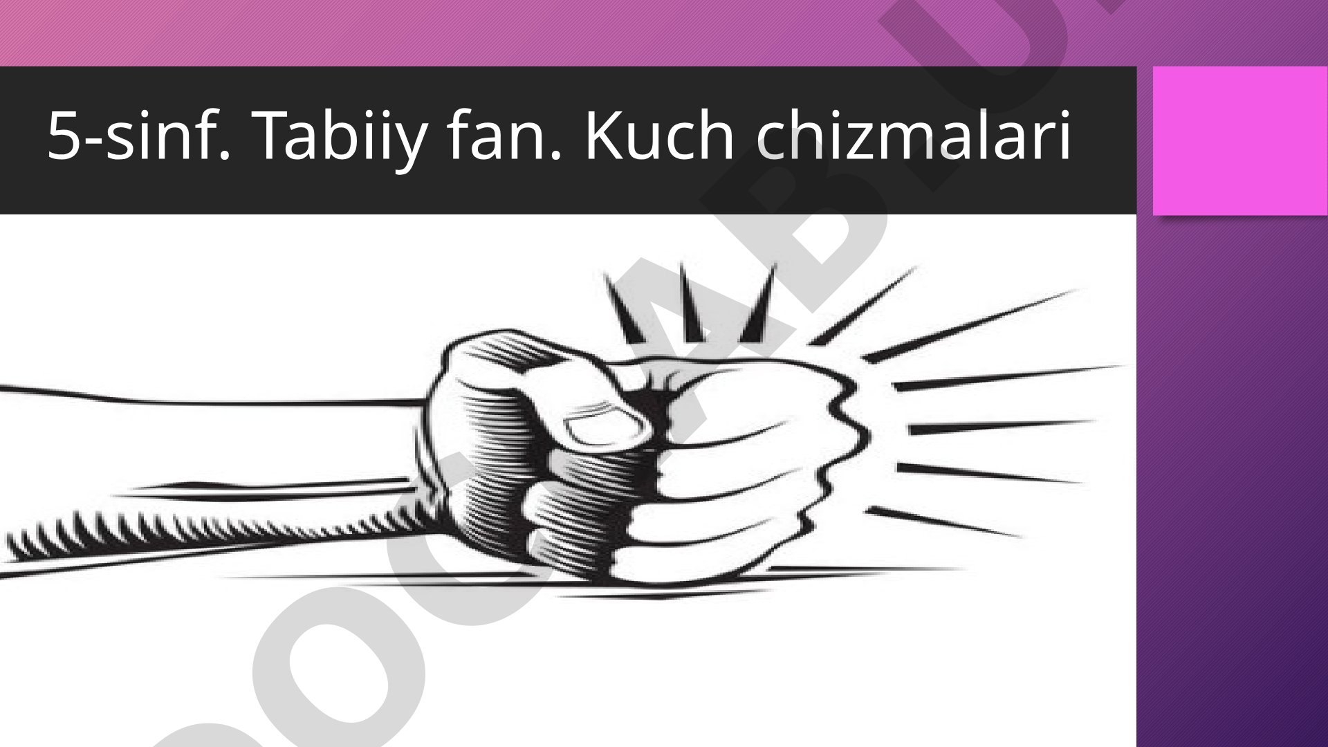 Tabiiy fan kuch chizmalari taqdimoti