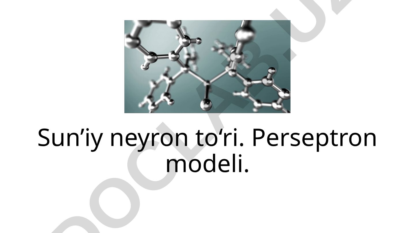 Sun’iy neyron to‘ri va perseptron modeli