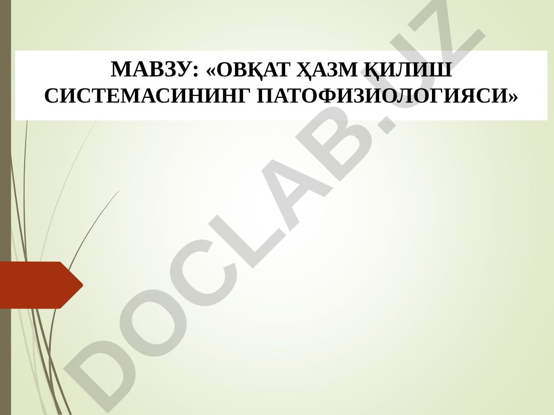 «Овқат ҳазм қилиш системасининг патофизиологияси»