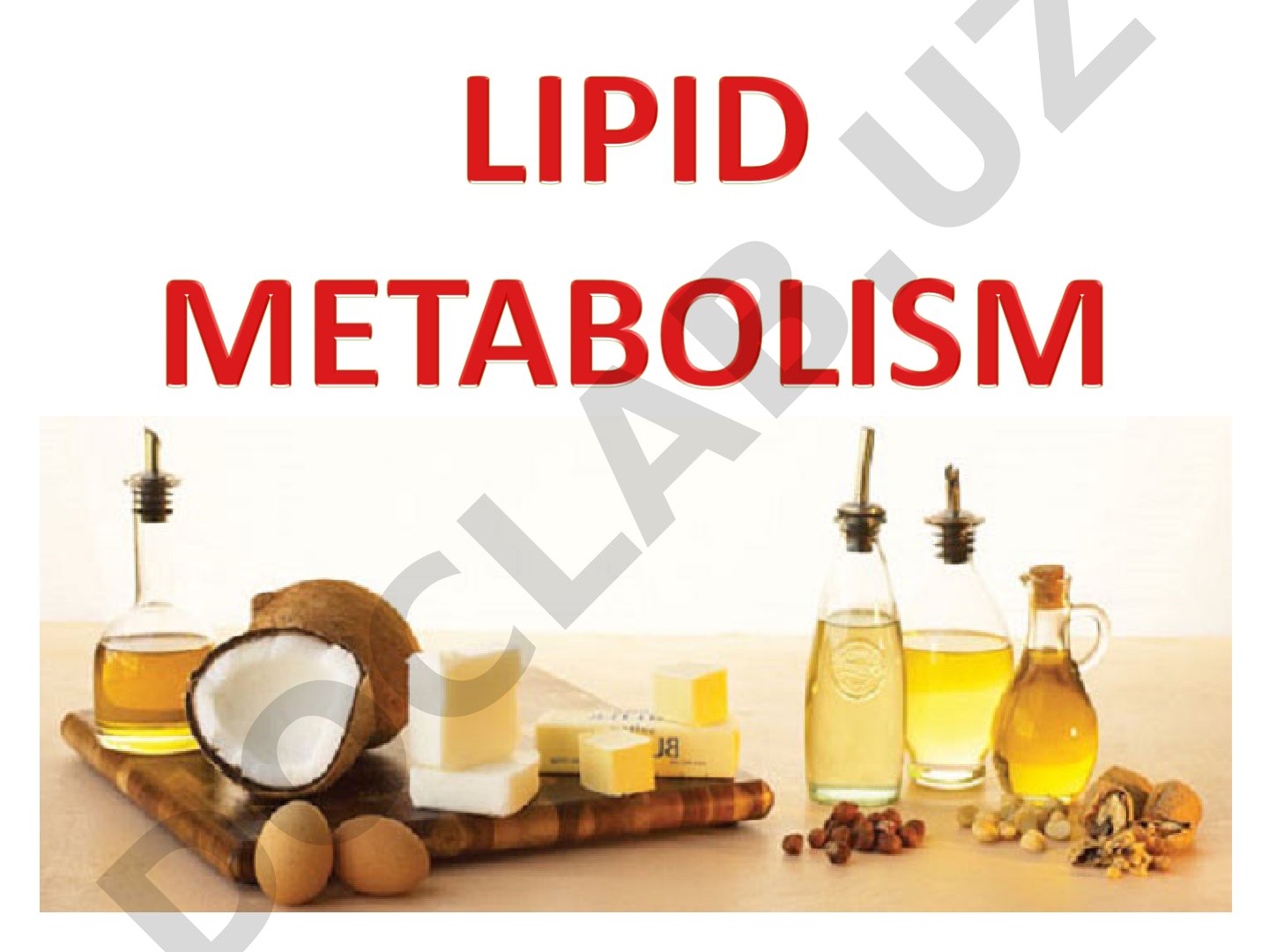 Lipidlar haqida taqdimot