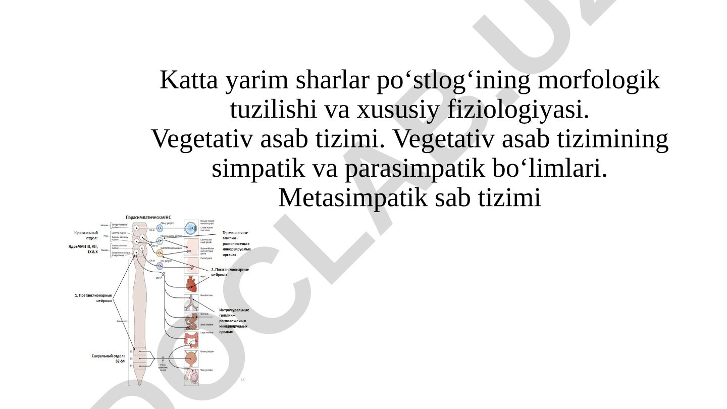 Katta yarim sharlar po‘stlog‘i va vegetativ asab tizimi