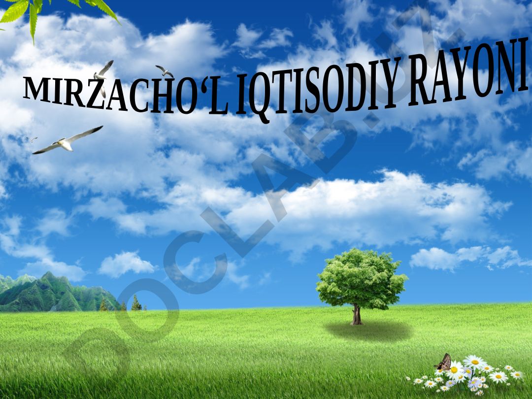 Mirzacho‘l iqtisodiy rayonining aholisi, maydoni, iqtisodiy o‘rni va tabiiy boyliklari