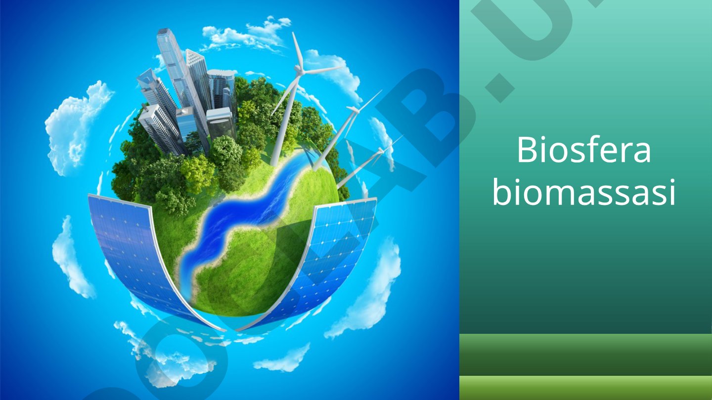 Biosfera biomassasi