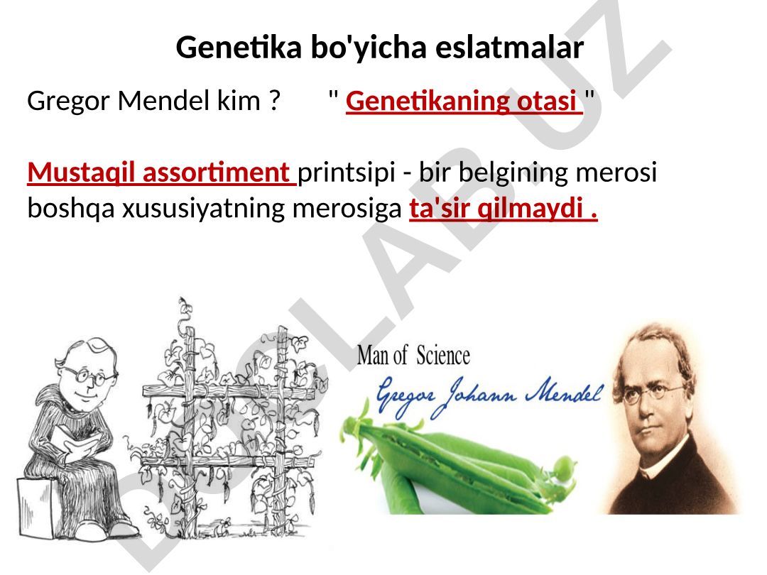 Genetika asoslari va Mendel qonunlari