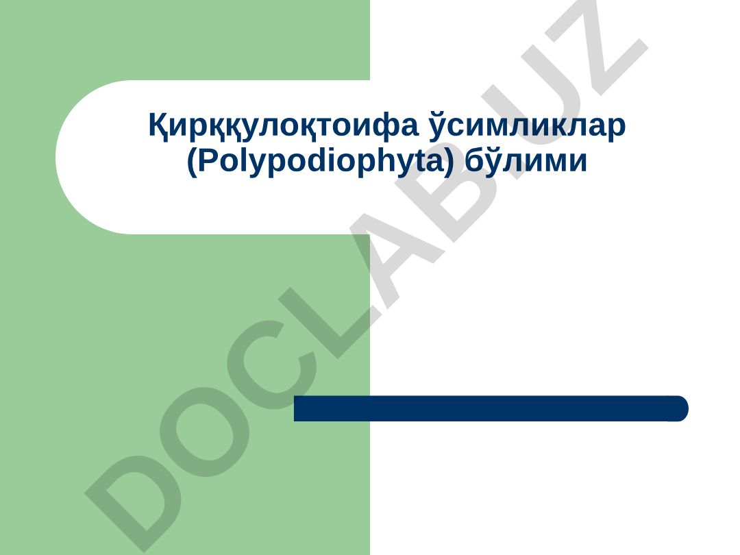 Қирққулоқтоифа ўсимликлар (Polypodiophyta) бўлими