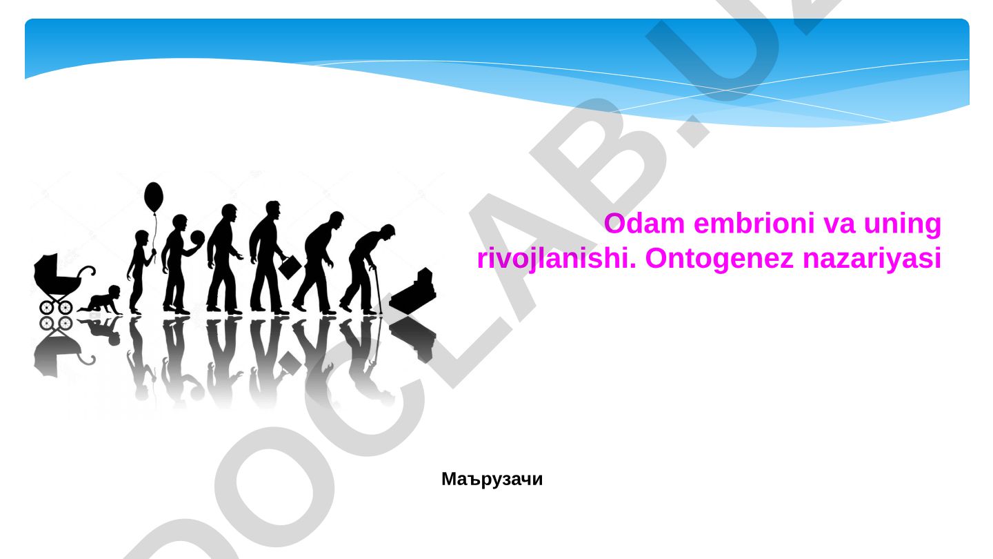 Odam embrioni va uning rivojlanishi. Ontogenez nazariyasi