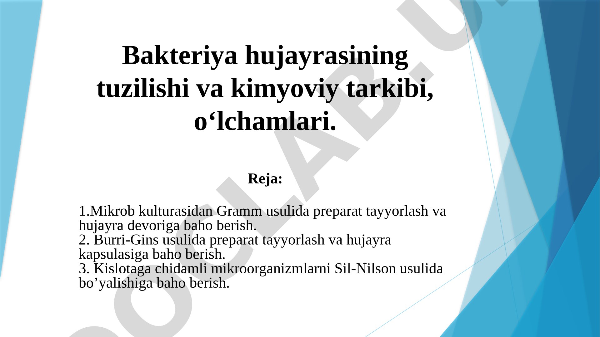 Bakteriya hujayrasining tuzilishi va kimyoviy tarkibi, o'lchamlari