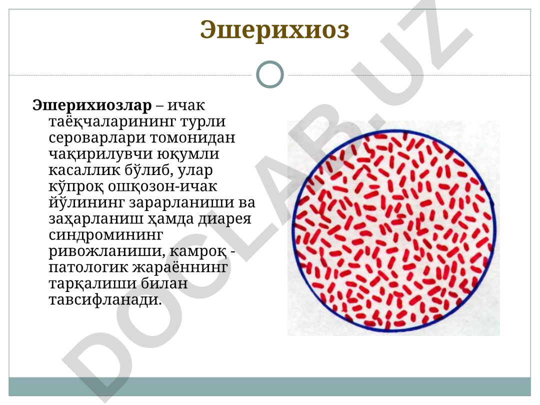 Эшерихиозлар: этиология, классификация и клинические проявления