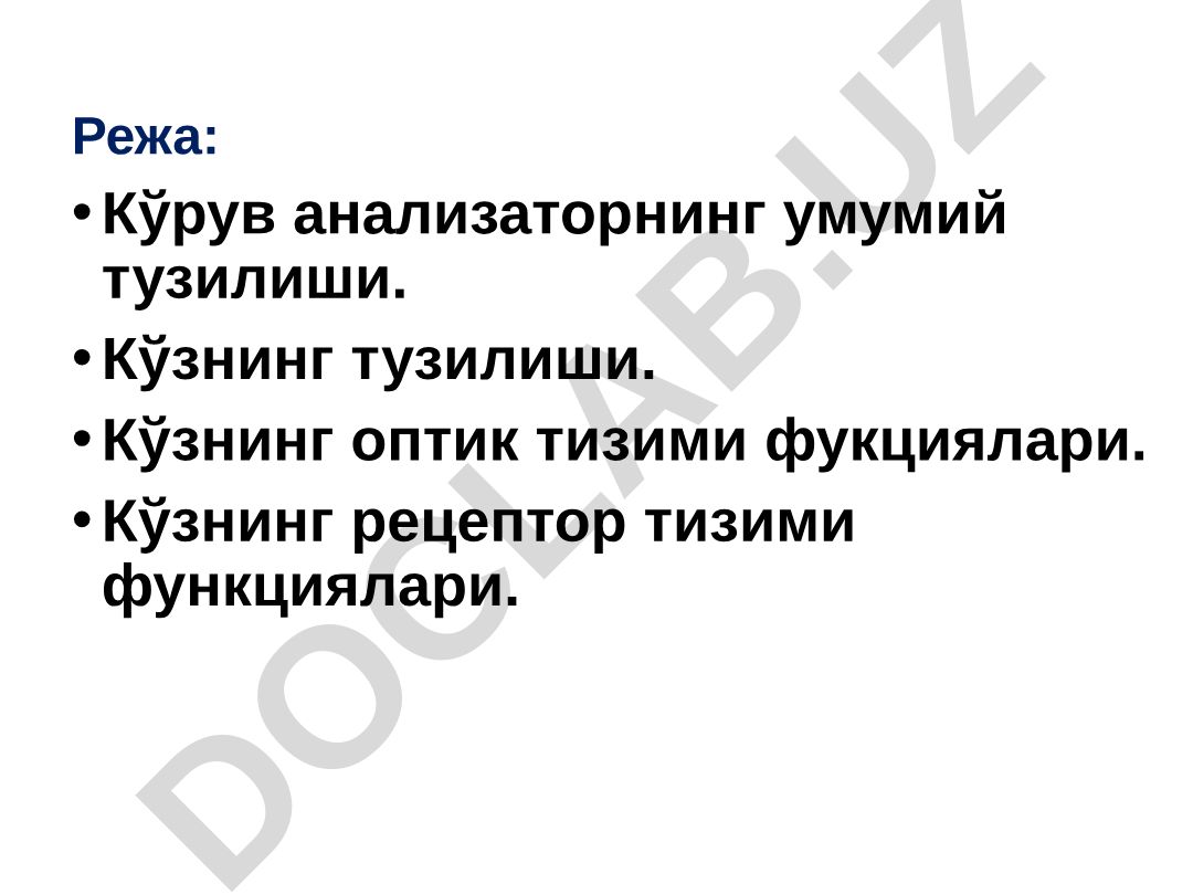 Кўрув анализаторнинг умумий тузилиши ва функциялари