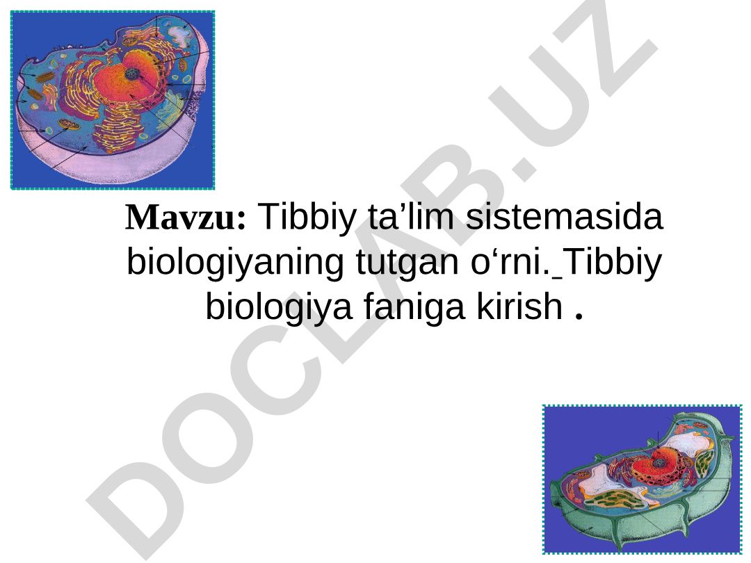 Tibbiy ta'lim sistemasida biologiyaning tutgan o'rni. Tibbiy biologiya faniga kirish