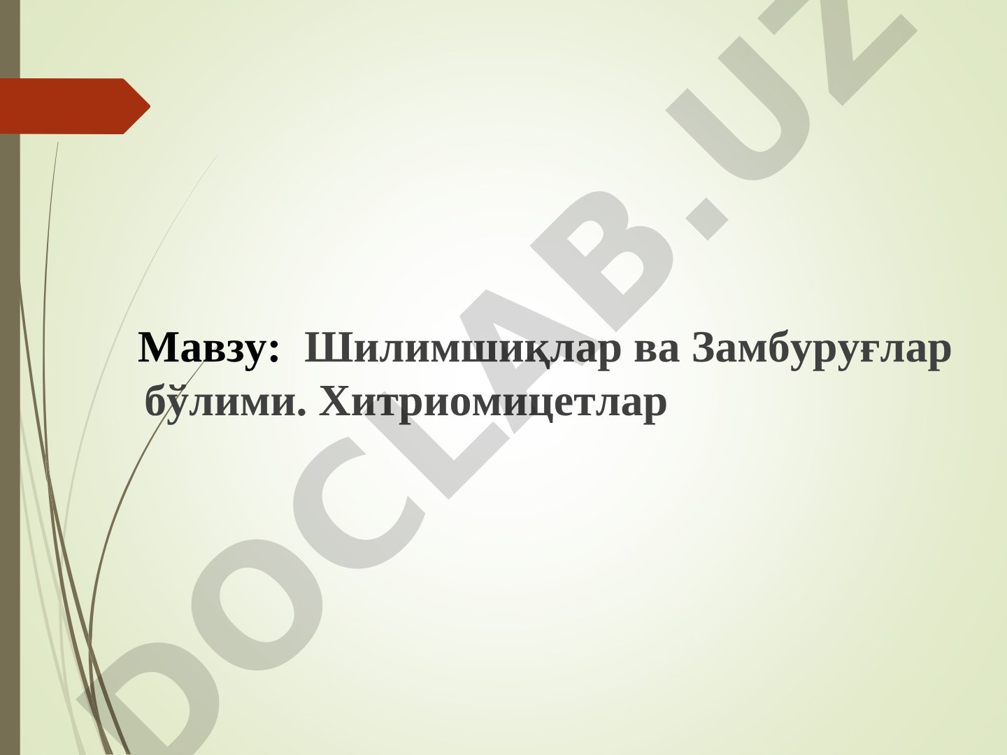 Шилимшиқлар ва Замбуруғлар тақдимоти