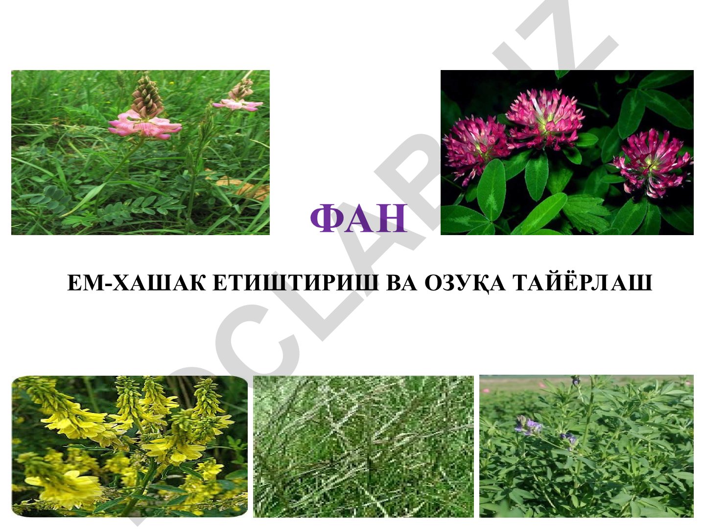 Ем-хашак етиштириш фанининг моҳияти, мақсади ва вазифалари