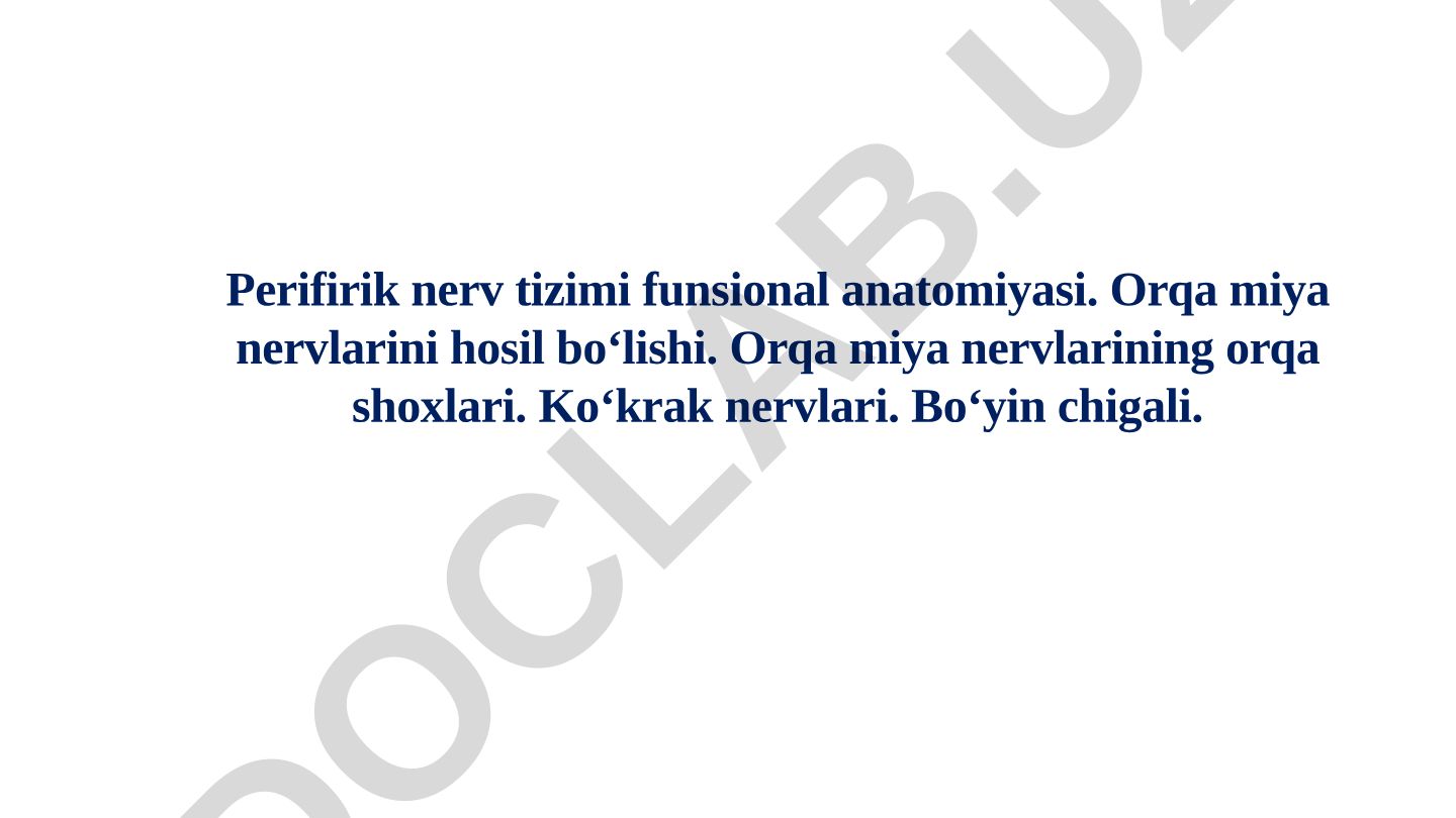 Perifirik nerv tizimi funsional anatomiyasi va orqa miya nervlarining tuzilishi