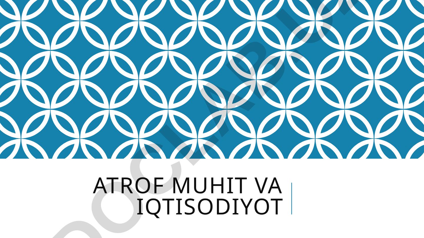 Atrof muhit va iqtisodiyot: BMT bosh assambleyasi va ekologik muammolar