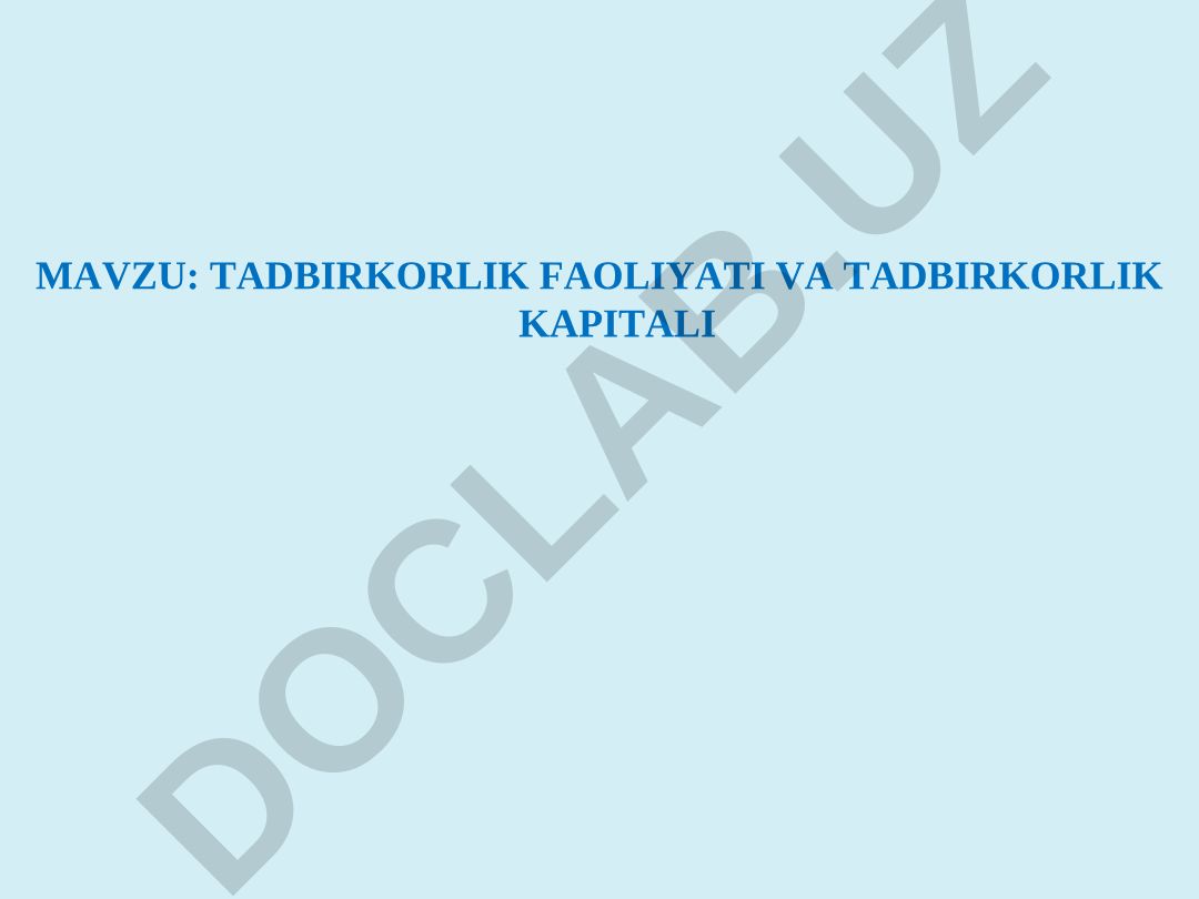 Tadbirkorlik faoliyati va tadbirkorlik kapitali