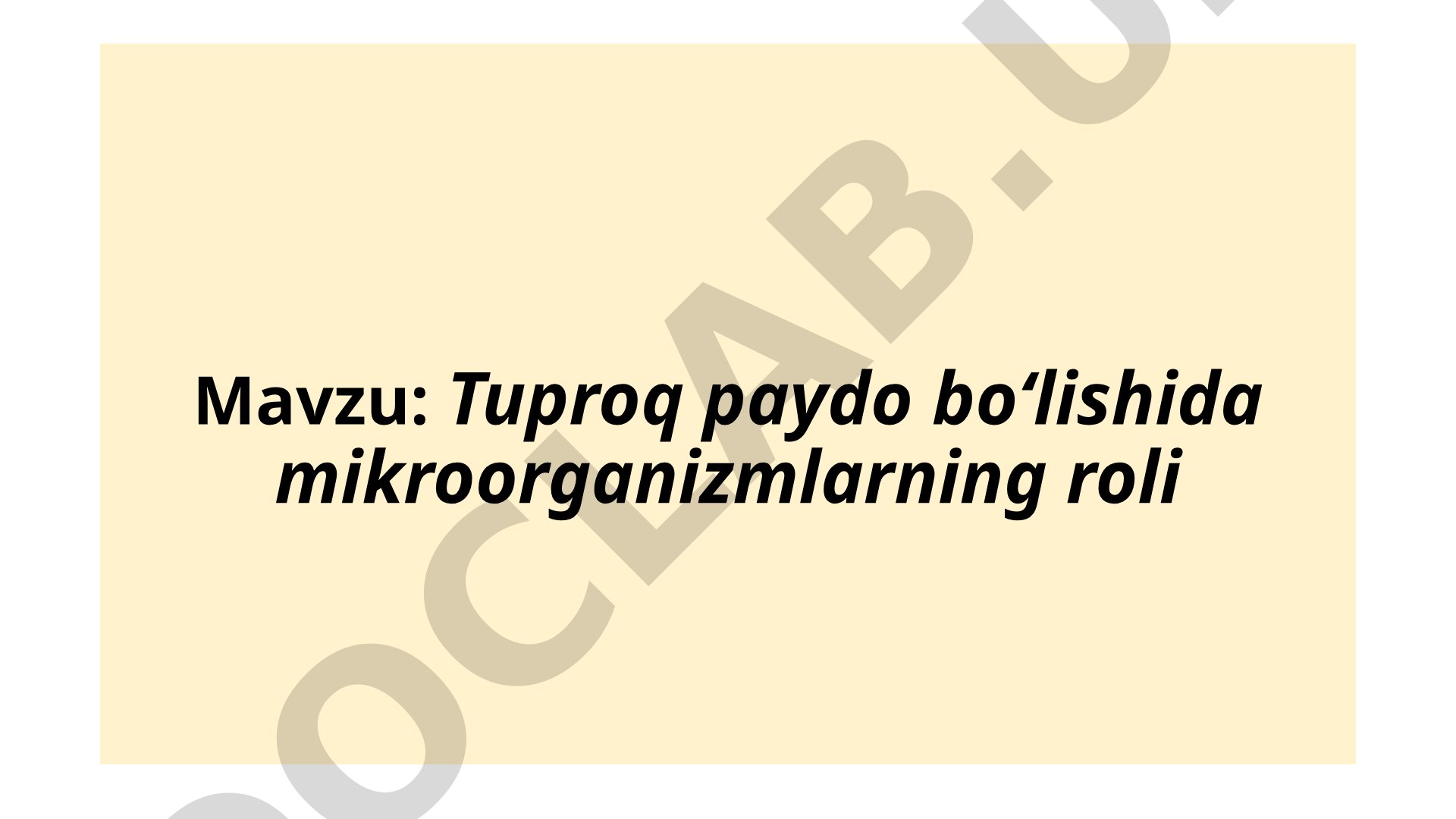 Tuproq paydo bo‘lishida mikroorganizmlarning roli