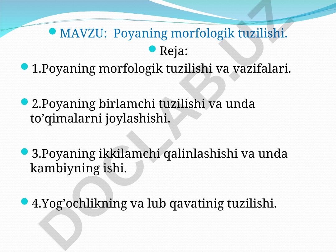 Poyaning morfologik tuzilishi