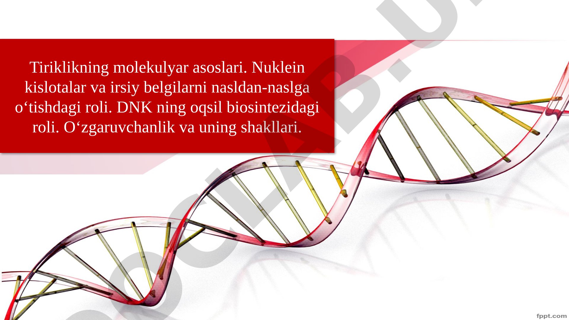 Tiriklikning molekulyar asoslari. Nuklein kislotalar va irsiy belgilarni nasldan-naslga o‘tishdagi roli