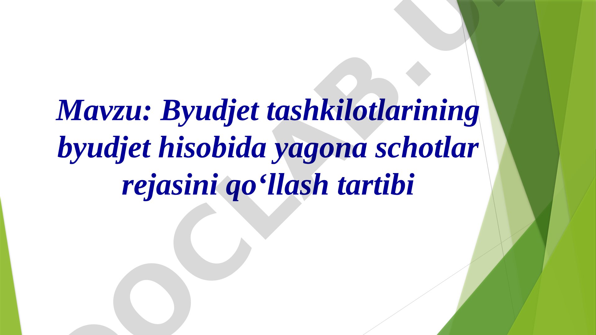 Byudjet tashkilotlarining byudjet hisobida yagona schotlar rejasini qo‘llash tartibi
