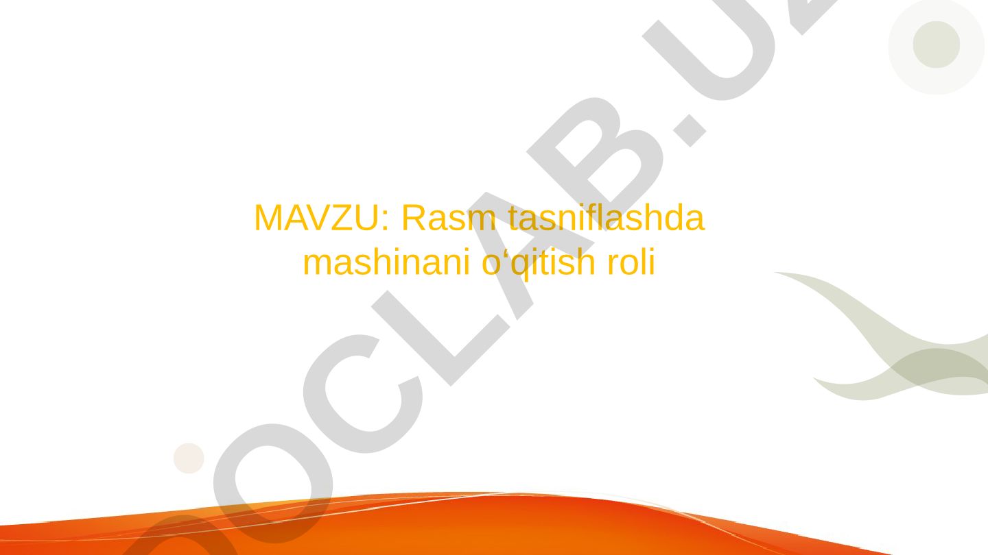 Rasm tasniflashda mashinani o‘qitish roli
