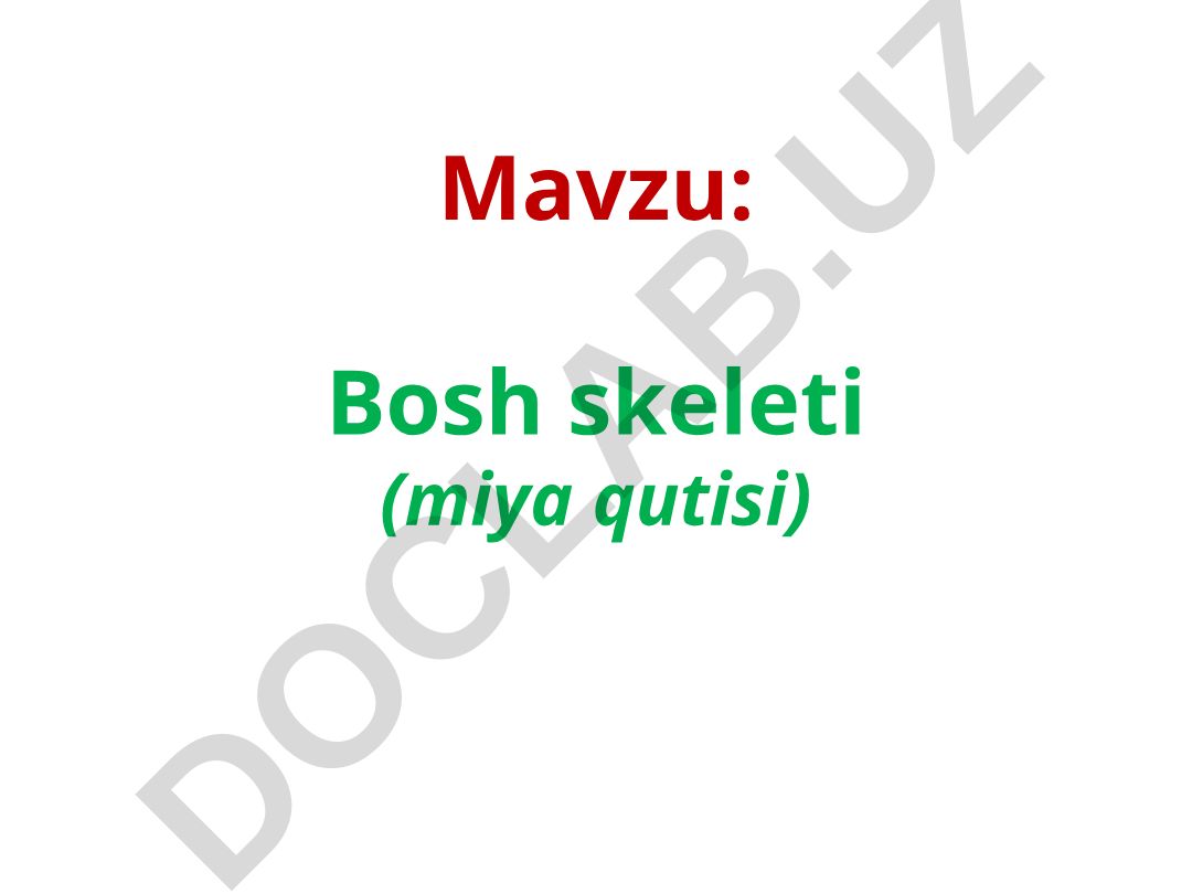 Bosh skeleti (miya qutisi) va uning bo'limlari