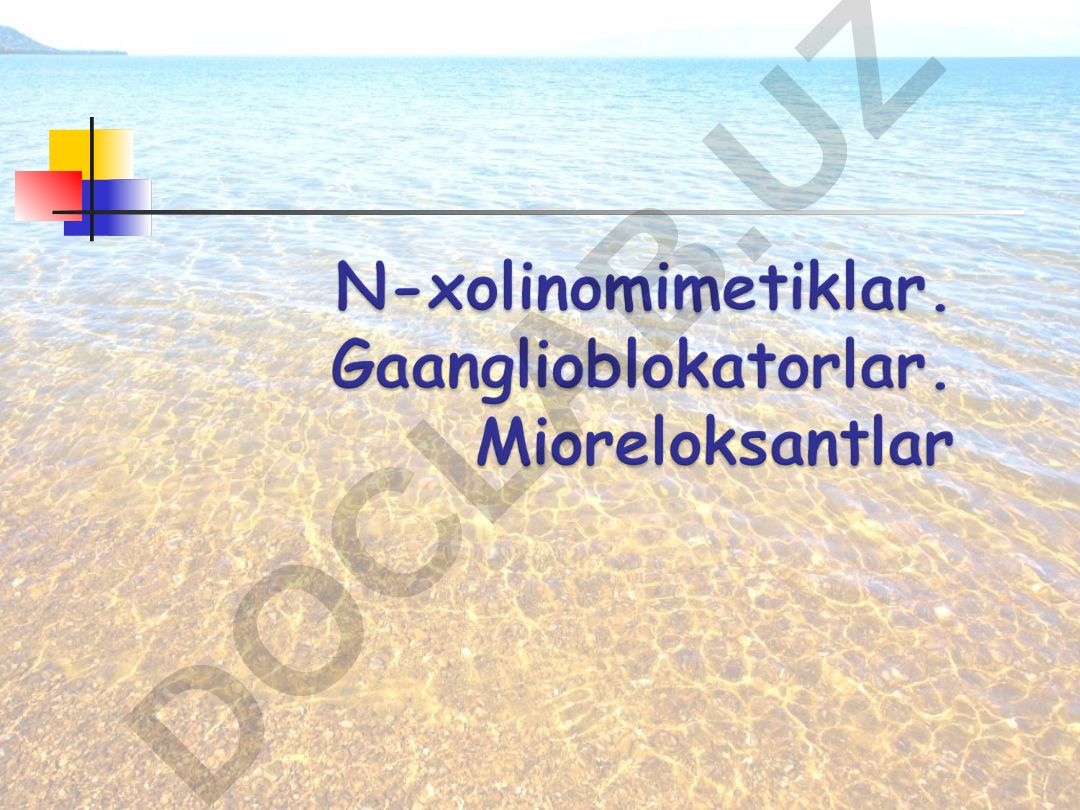 Nikotinga sezgir N-xolinoretseptorlar lokalizatsiyasi va farmakologik ta'sir