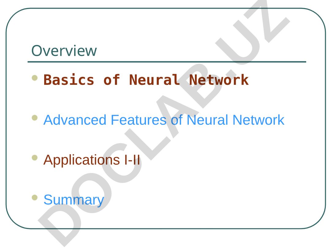 Neural Network Basics and Advanced Features