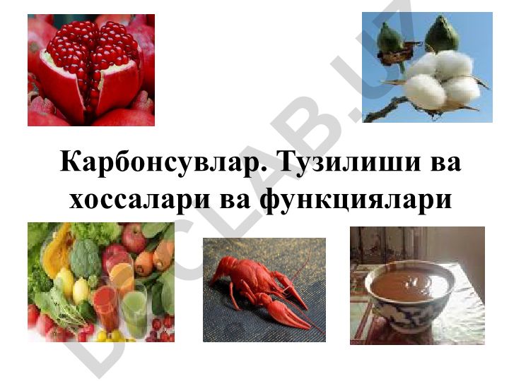 Карбонсувлар: тузилиши, хоссалари ва функциялари