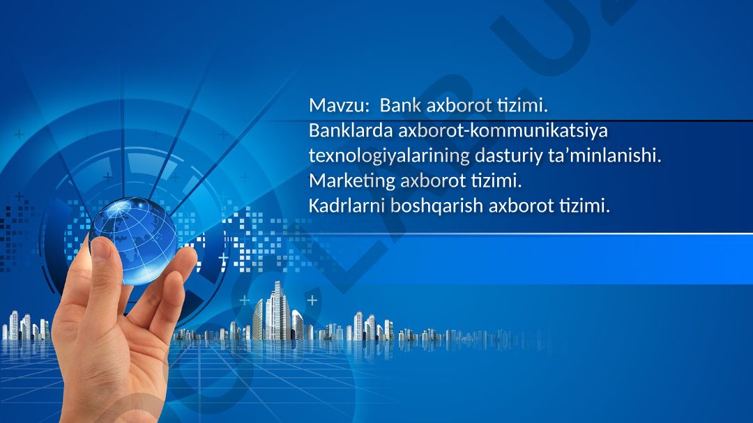 Bank axborot tizimi. Banklarda axborot-kommunikatsiya texnologiyalarining dasturiy ta’minlanishi. Marketing axborot tizimi. Kadrlarni boshqarish axborot tizimi.