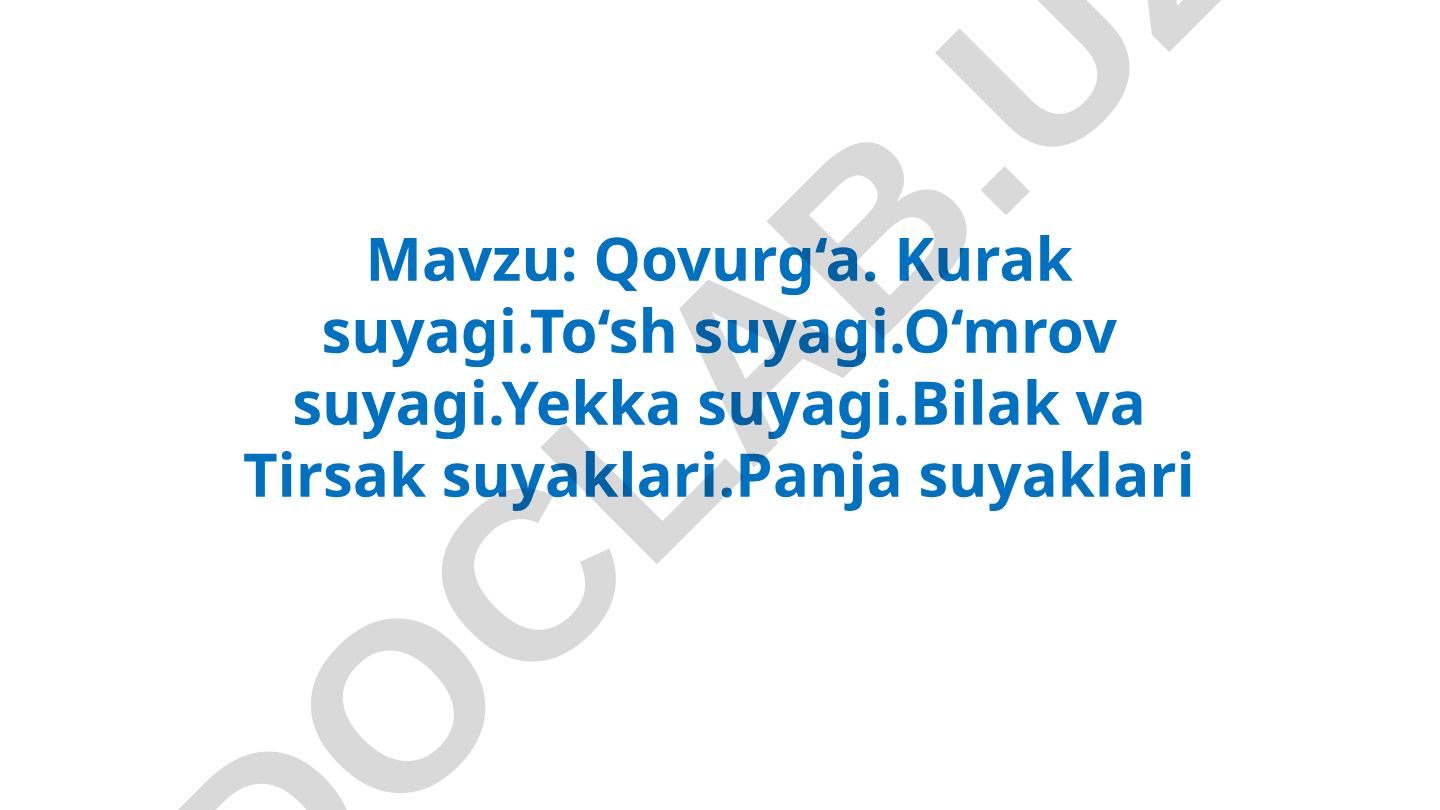 Qovurg‘a. Kurak suyagi. To‘sh suyagi. O‘mrov suyagi. Yekka suyagi. Bilak va Tirsak suyaklari. Panja suyaklari
