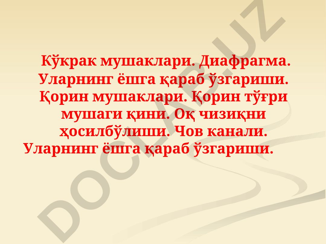 Кўкрак, диафрагма ва қорин мушакларининг анатомияси ва ёшга қараб ўзгариши