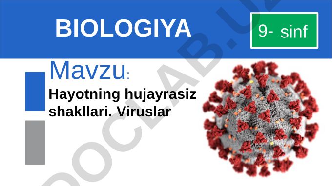 Hayotning hujayrasiz shakllari. Viruslar