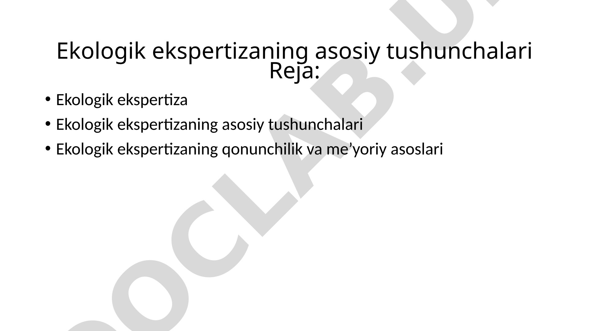Ekologik ekspertiza tushunchalari taqdimoti